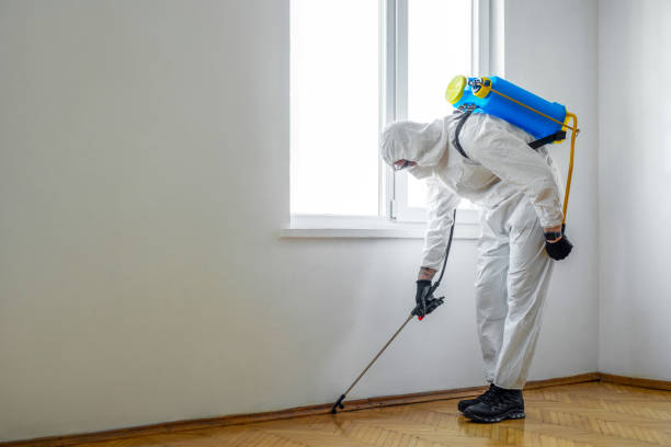 Best Residential Pest Control  in Lake Tansi, TN